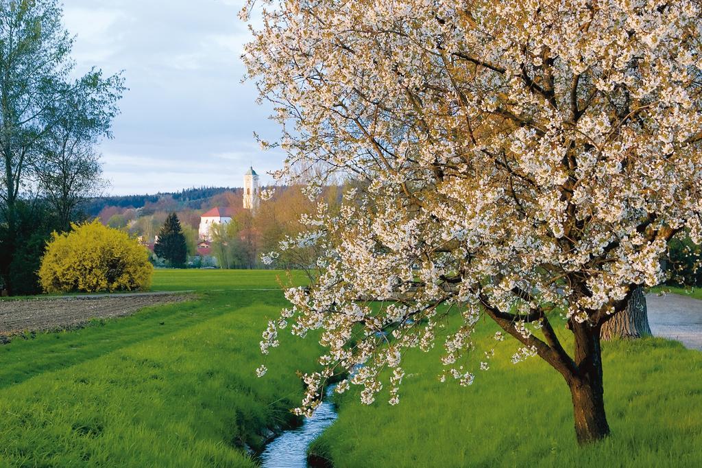 Hotel Sonnenhof Bad Birnbach Exterior foto